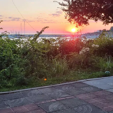 студия първа линия